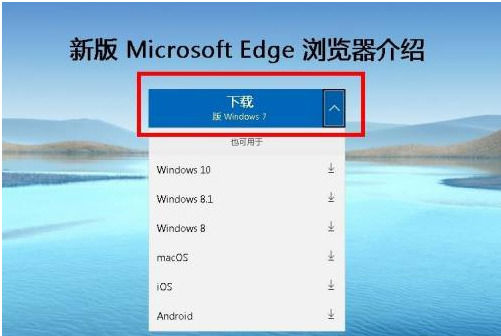 Windows电脑安装浏览器